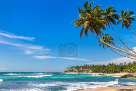 Téléchargez les photos : Dalawella Beach par une journée ensoleillée au Sri Lanka - en image libre de droit
