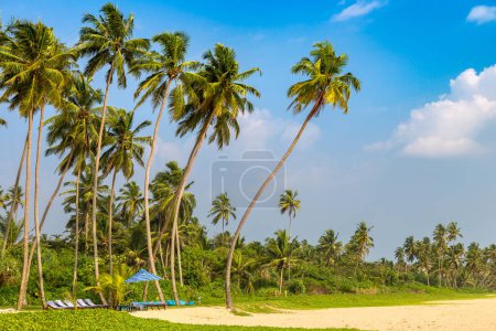 Foto de Playa tropical de Shinagawa en un día soleado en Sri Lanka - Imagen libre de derechos