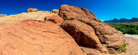 Téléchargez les photos : Panorama de l'aire nationale de conservation du canyon Red Rock près de Las Vegas, Nevada, USA - en image libre de droit
