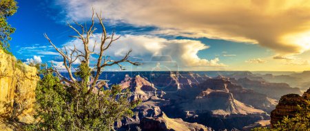 Photo for Panorama of  Grand Canyon National Park at Powell Point at sunset, Arizona, USA - Royalty Free Image