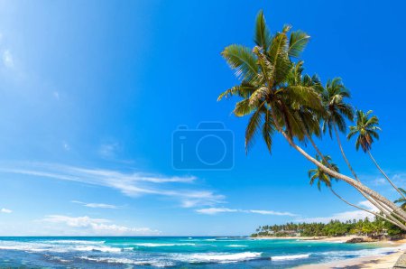 Foto de Panorama de Roca y palmera en la playa Dalawella en un día soleado en Sri Lanka - Imagen libre de derechos