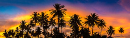 Téléchargez les photos : Panorama de Silhouette de cocotiers sur plage tropicale au coucher du soleil - en image libre de droit