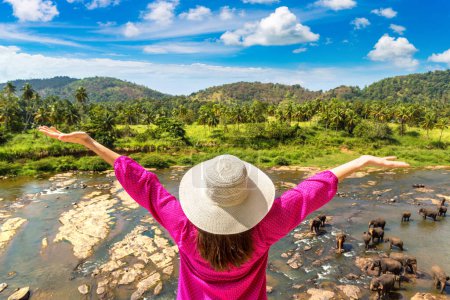Photo for Woman tourist on the hotel balcony is looking at Herd of elephants at the river in Sri Lanka - Royalty Free Image
