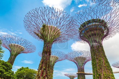 Foto de SINGAPUR - 23 de junio de 2019: El Supertree Grove en Gardens by the Bay en Singapur cerca del hotel Marina Bay Sands en el día de verano - Imagen libre de derechos