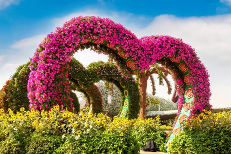 Téléchargez les photos : DUBAI, ÉMIRATS ARABES UNIS - 31 JANVIER 2020 : Jardin miracle de Dubaï par une journée ensoleillée, Émirats arabes unis - en image libre de droit