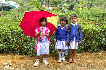 Foto de NUWARA ELIYA, SRI LANKA - 15 DE FEBRERO DE 2020: Niños y niñas escolares en las plantaciones de té en Nuwara Eliya, Sri Lanka - Imagen libre de derechos