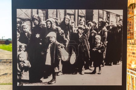Foto de OSWIECIM, POLONIA - 7 de septiembre de 2022: Exposición fotográfica en el campo de concentración de Auschwitz II en un día soleado, Oswiecim, Polonia - Imagen libre de derechos