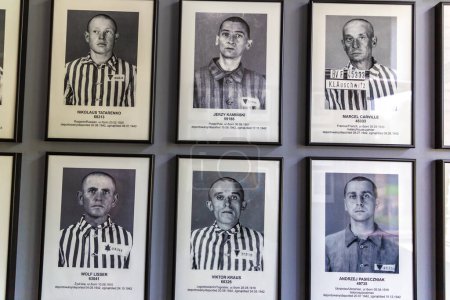 Téléchargez les photos : OSWIECIM, POLOGNE - 7 SEPTEMBRE 2022 : Galerie photos de prisonniers dans le camp de concentration d'Auschwitz par une journée ensoleillée, Oswiecim, Pologne - en image libre de droit