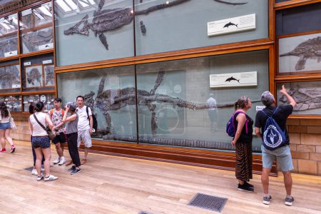 Foto de LONDRES, Reino Unido - 18 de junio de 2022: Interior of Natural History Museum in London, Reino Unido - Imagen libre de derechos