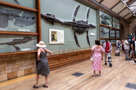 Foto de LONDRES, Reino Unido - 18 de junio de 2022: Interior of Natural History Museum in London, Reino Unido - Imagen libre de derechos