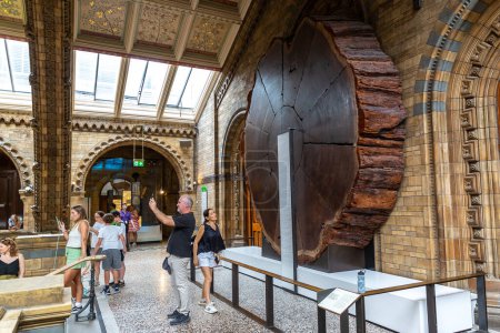 Téléchargez les photos : LONDRES, Royaume-Uni - 18 JUIN 2022 : Intérieur du Musée d'Histoire Naturelle à Londres, Royaume-Uni - en image libre de droit