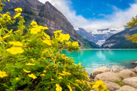 Téléchargez les photos : Vue panoramique du lac Louise et de la fleur jaune sauvage, parc national du Canada Banff - en image libre de droit