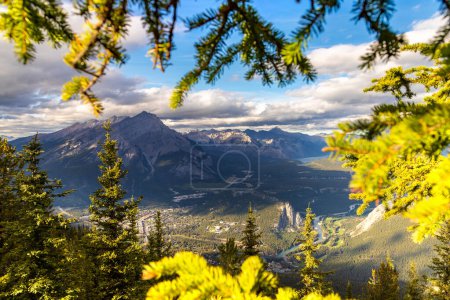 Téléchargez les photos : Vue aérienne panoramique de la ville de Banff dans la vallée de la Bow et cadre d'une branche de sapin dans le parc national Banff, Rocheuses canadiennes - en image libre de droit