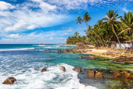 Photo for Rock and palm tree at Dalawella Beach in a sunny day in Sri Lanka - Royalty Free Image
