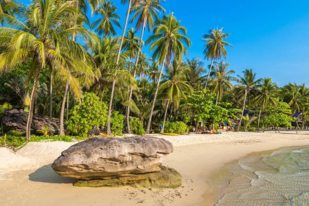 Téléchargez les photos : Belle plage tropicale par une journée ensoleillée - en image libre de droit