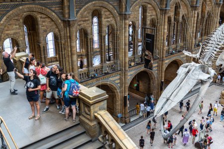 Foto de LONDRES, Reino Unido - 18 de junio de 2022: Interior of Natural History Museum of London y esqueleto de ballena azul en el salón principal de Londres, Reino Unido - Imagen libre de derechos