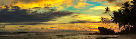 Téléchargez les photos : Panorama du coucher du soleil sur la plage de Dalawella au Sri Lanka - en image libre de droit