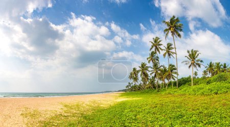 Photo for Panorama of Shinagawa tropical Beach in a sunny day in Sri Lanka - Royalty Free Image