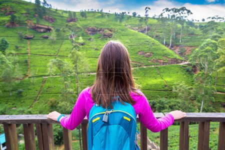 Téléchargez les photos : Femme voyageuse dans les plantations de thé de Nuwara Eliya, Sri Lanka - en image libre de droit