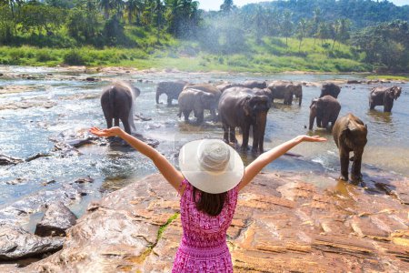 Photo for Woman tourist  looking at Herd of elephants at the Elephant Orphanage in Sri Lanka - Royalty Free Image
