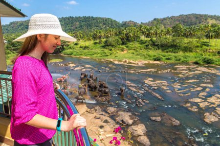 Téléchargez les photos : Femme touriste sur le balcon de l'hôtel regarde troupeau d'éléphants au bord de la rivière au Sri Lanka par une journée ensoleillée - en image libre de droit