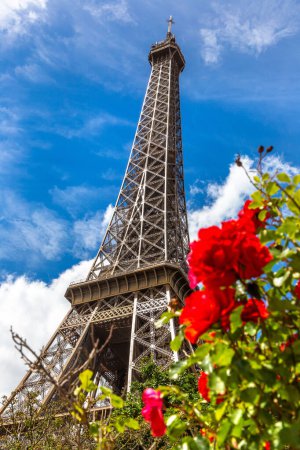 Foto de La Torre Eiffel y rosas rojas en París, Francia en un hermoso día de verano - Imagen libre de derechos