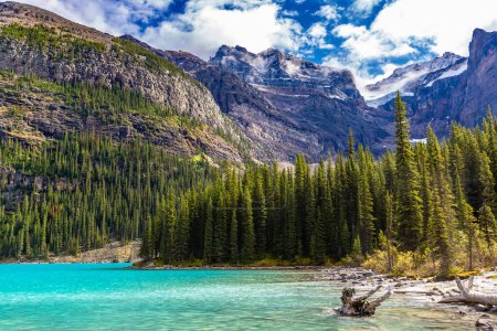 Téléchargez les photos : Vue panoramique du lac Moraine, parc national du Canada Banff - en image libre de droit