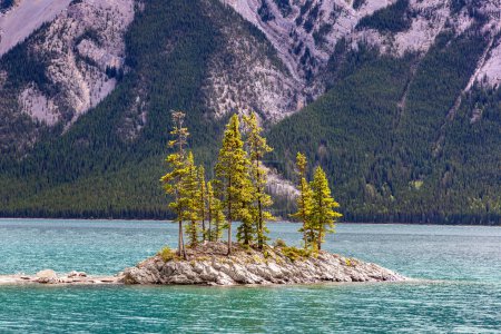 Téléchargez les photos : Petite île sur le lac Minnewanka dans le parc national Banff, Canada - en image libre de droit