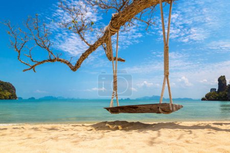 Téléchargez les photos : Balançoire vide sur l'arbre sur une plage tropicale par une journée ensoleillée - en image libre de droit