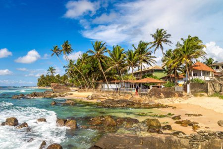 Téléchargez les photos : Rocher et palmier à Dalawella Beach par une journée ensoleillée au Sri Lanka - en image libre de droit