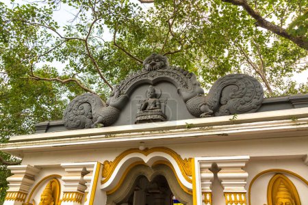 Téléchargez les photos : Temple Jaya Sri Maha Bodhi à Anuradhapura Musée archéologique au Sri Lanka - en image libre de droit