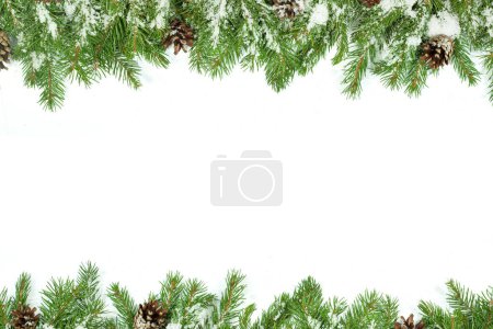 Photo for Christmas background with snow, and cones isolated on white - Royalty Free Image