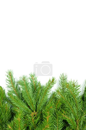 Téléchargez les photos : Cadre vert Noël isolé sur fond blanc - en image libre de droit