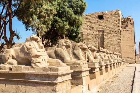 Téléchargez les photos : Karnak temple in a sunny day, Luxor, Egypt - en image libre de droit