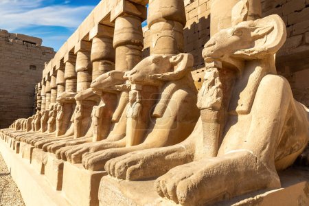 Photo for Karnak temple in a sunny day, Luxor, Egypt - Royalty Free Image