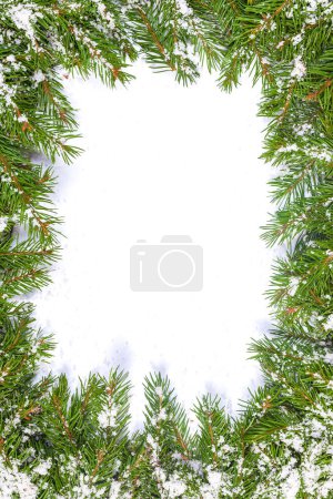 Foto de Fondo navideño con nieve aislada sobre blanco - Imagen libre de derechos