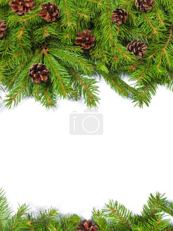 Téléchargez les photos : Fond de Noël avec cônes isolés sur blanc - en image libre de droit