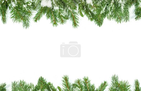 Foto de Fondo navideño con nieve aislada sobre blanco - Imagen libre de derechos