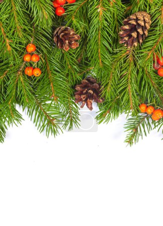 Photo for Christmas green  framework with cones and holly berry  isolated on white background - Royalty Free Image
