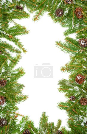 Téléchargez les photos : Fond de Noël avec neige, et cônes isolés sur blanc - en image libre de droit
