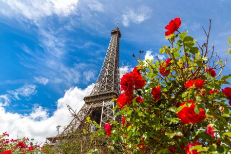Téléchargez les photos : La Tour Eiffel et les roses rouges à Paris, France par une belle journée d'été - en image libre de droit