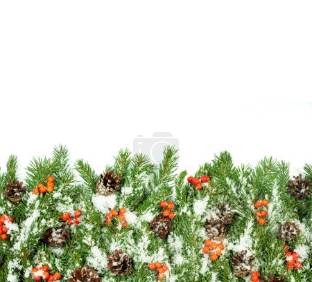 Foto de Fondo de Navidad con nieve, conos y baya de acebo aislado en blanco - Imagen libre de derechos