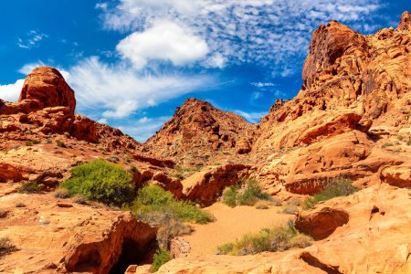 Photo for Valley of Fire State Park in a sunny day, Nevada, USA - Royalty Free Image