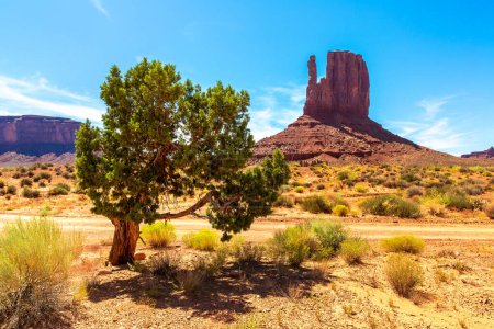 Photo for Monument Valley a sunny day, Arizona, USA - Royalty Free Image