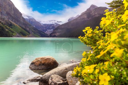 Foto de Vista panorámica del lago Louise y la flor amarilla salvaje, Parque Nacional Banff de Canadá - Imagen libre de derechos