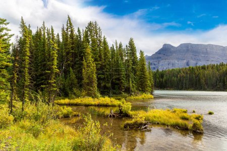 Photo for Johnson lake in Banff National Park, Canada - Royalty Free Image