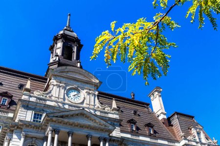 Téléchargez les photos : Hôtel de Ville de Montréal par une journée ensoleillée, Québec, Canada - en image libre de droit