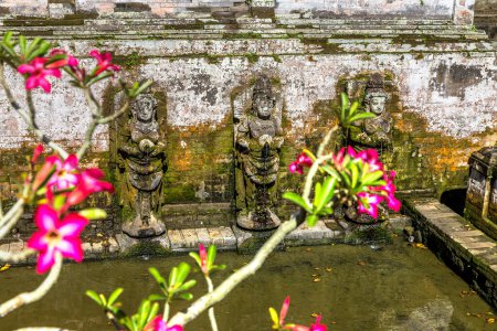 Téléchargez les photos : Étang sacré à Pura Goa Gajah (temple de la grotte des éléphants), à Bali, Indonésie par une journée ensoleillée - en image libre de droit