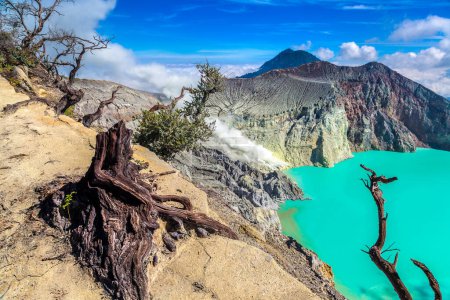 Panoramic aerial view crater of active volcano Ijen and dead tree, Java island, Indonesia