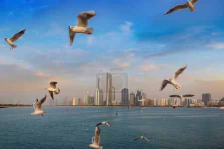 Photo for Seagulls and Abu Dhabi Skyline in a summer day, United Arab Emirates - Royalty Free Image
